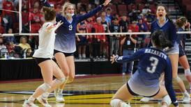 Girls Volleyball: Suburban Life team-by-team preview capsules