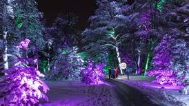 Visit holiday light shows, markets this last weekend before Christmas 