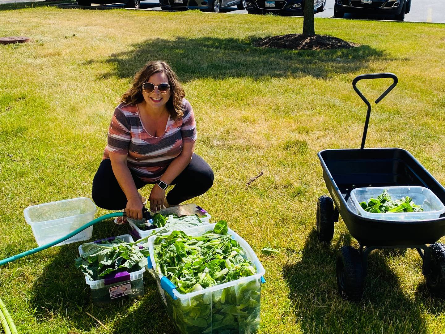 This was the fourth year for the garden at OSF St. Paul in Mendota, which produced the largest return in produce yet. The produce is offered to employees and for patient meals and donated to the Mendota Area Christian Food Pantry. Marisa Kibble is senior financial analyst and community gardens volunteer for OSF St. Paul.