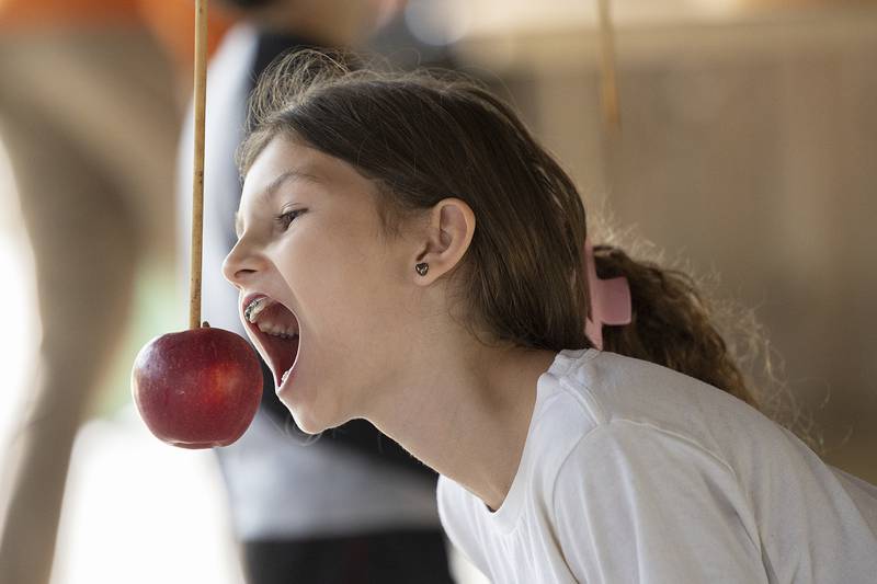 While visiting John Deere Historic Site’s Fall Fest, Ester Huene, 10, of Nachusa works to take a bite of an apple Saturday, Oct. 12, 2024. The apples were hung from swaying sticks so snagging a munch was easier said than done.