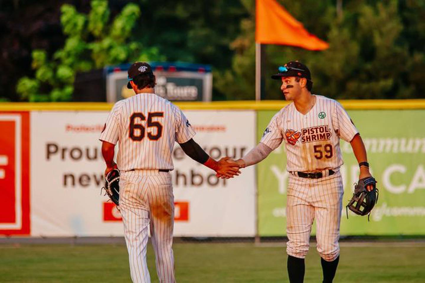 Kyle Gibson (65) and Chris Esquivel high five during the Illinois Valley Pistol Shrimp's 4-0 victory over the Danville Dans on Thursday, July 11, 2024 at Schweickert Stadium in Peru.