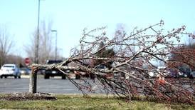 February tornadoes rare, not unheard of, weather service says