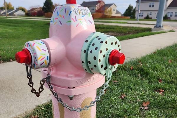 City of DeKalb accepting Paint-A-Plug project applications