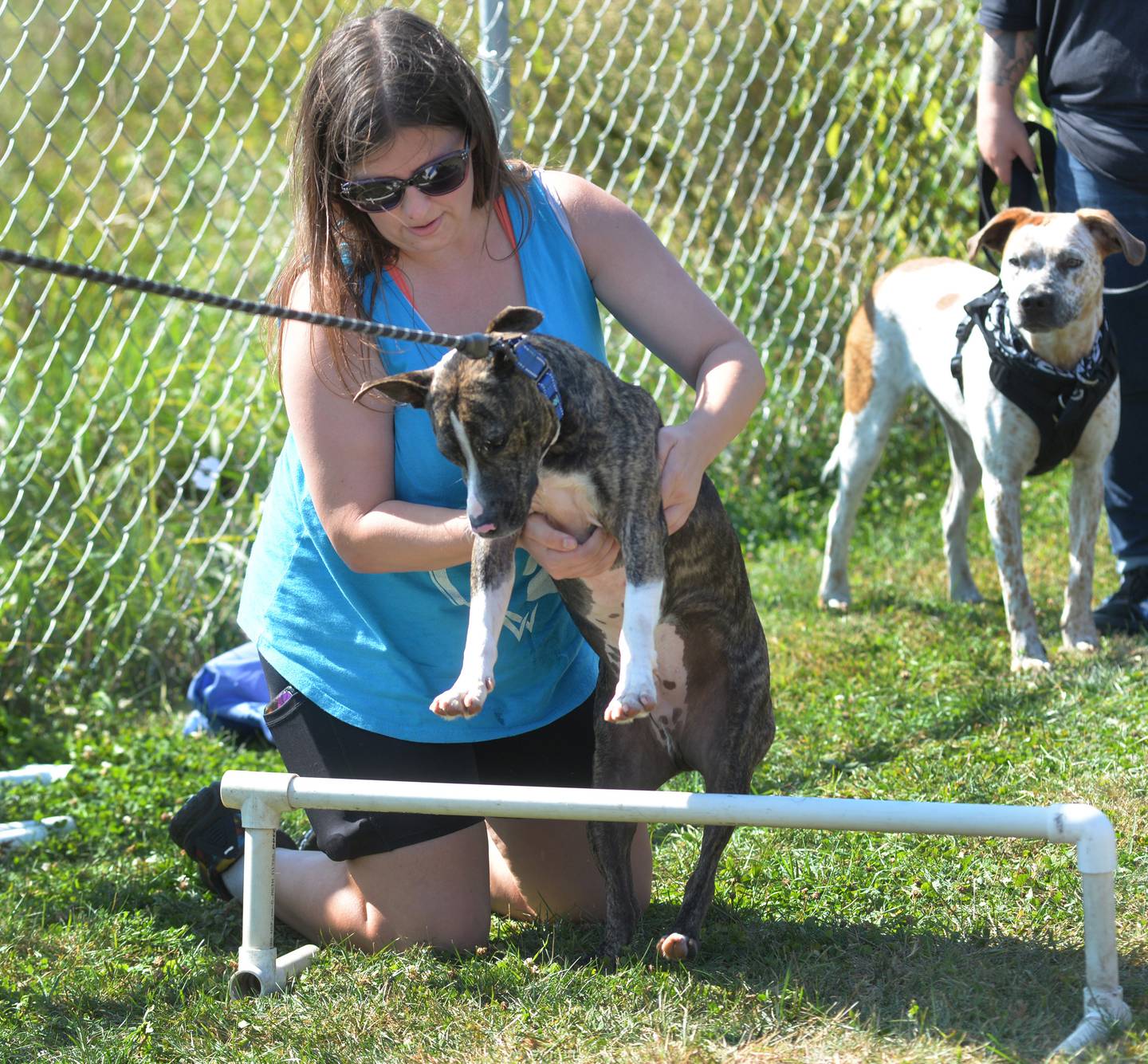 Ham gets some help from Ashley Williams  to clear one of the jumps on the agility course at the Bonafied Rescue Rally in Oregon on Saturday, Sept. 27, 2025. Ham is available to be adopted at the Happy Trails Shelter in Rock Falls.