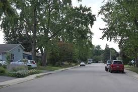 3 shot inside car in Carpentersville after 2 people approached vehicle, then fled 