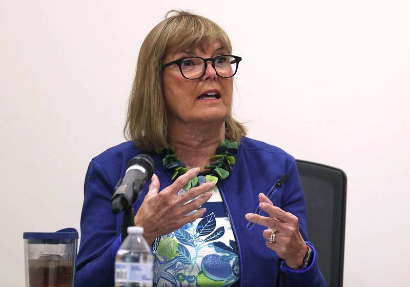 DeKalb 2nd Ward Alderwoman Barb Larson talks Monday, June 23, 2025, about the implementation of a city grocery tax during the DeKalb City Council meeting at the DeKalb Public Library.