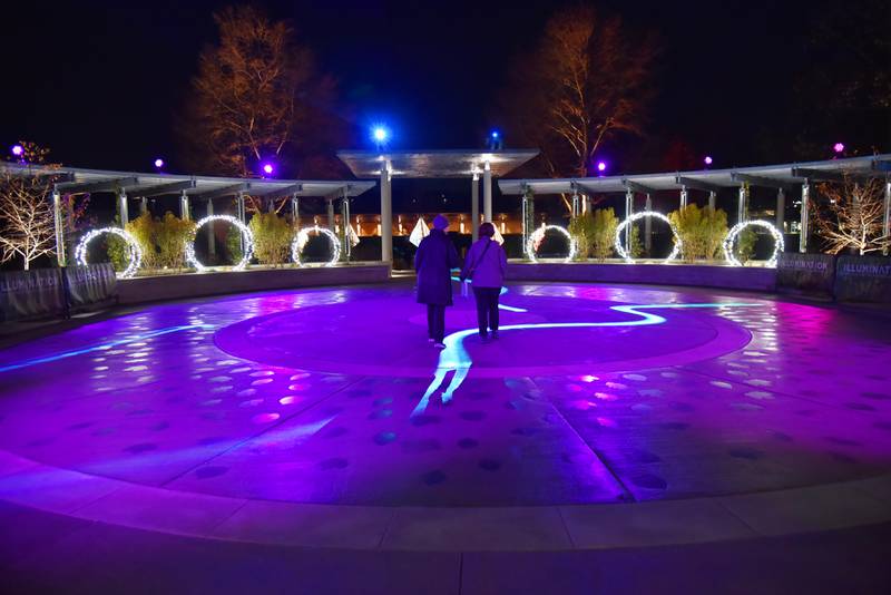 With a reconfigured route this year, “Illumination” now begins through a gateway of light into the circular plaza of the Morton Arboretum’s “Grand Garden.”