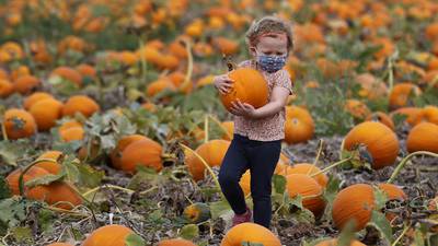 Pumpkin season is here: we’ve got an expansive list of pumpkin farms and festivities