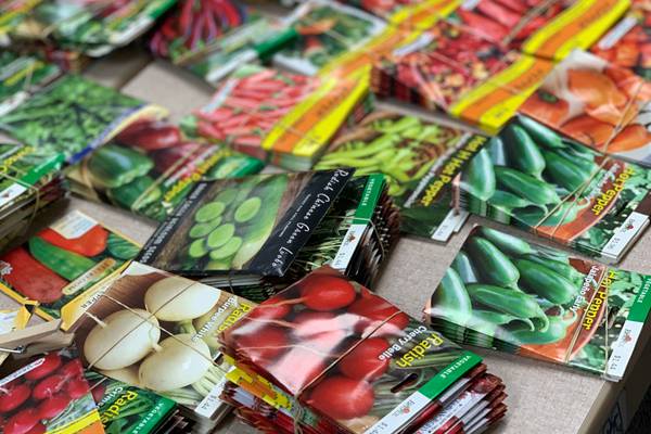 Learn how to save money with Grow Your Own Groceries gardening series