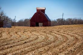 Crop markets watching Iran war implications