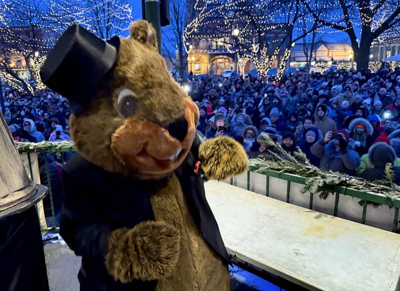 Woodstock Willie works the crowd on Monday, Feb. 2, 2026, during the annual Groundhog Day Prognostication in the Woodstock Square.