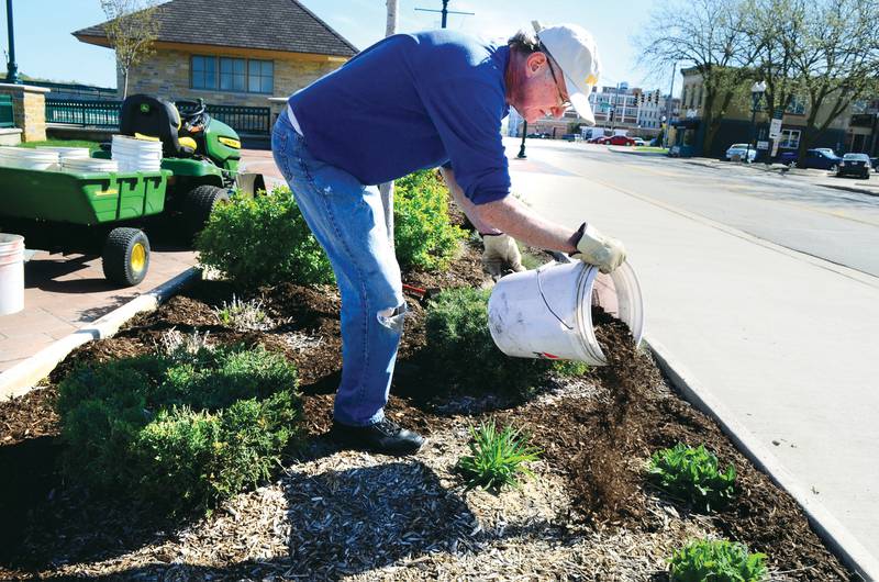 Mike McLaughlin pours a bucket of mulch into a flower bed on the Dixon riverfront March 28, 2012. Volunteers mulched and raked the beds.
