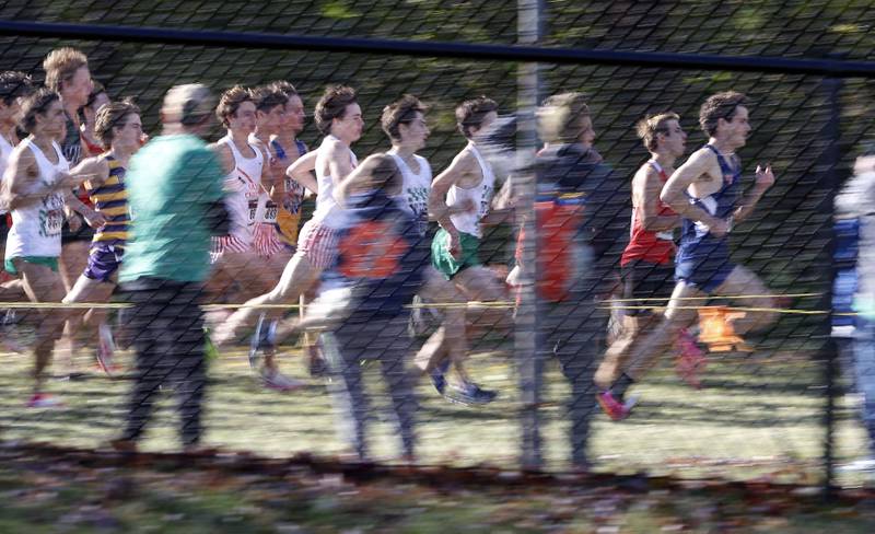 The start of the boys varsity race during the IHSA Class 3A Lake Park cross country sectional  Saturday, Nov. 2, 2024 in Roselle.