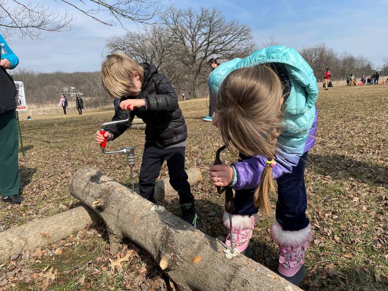 Discover the sweet science of turning tree sap into syrup and enjoy samples in the Maple Café from noon to 3 p.m. on March 4 and 5, 2023 during the Forest Preserve of Kane County’s Maple Sugaring Days.