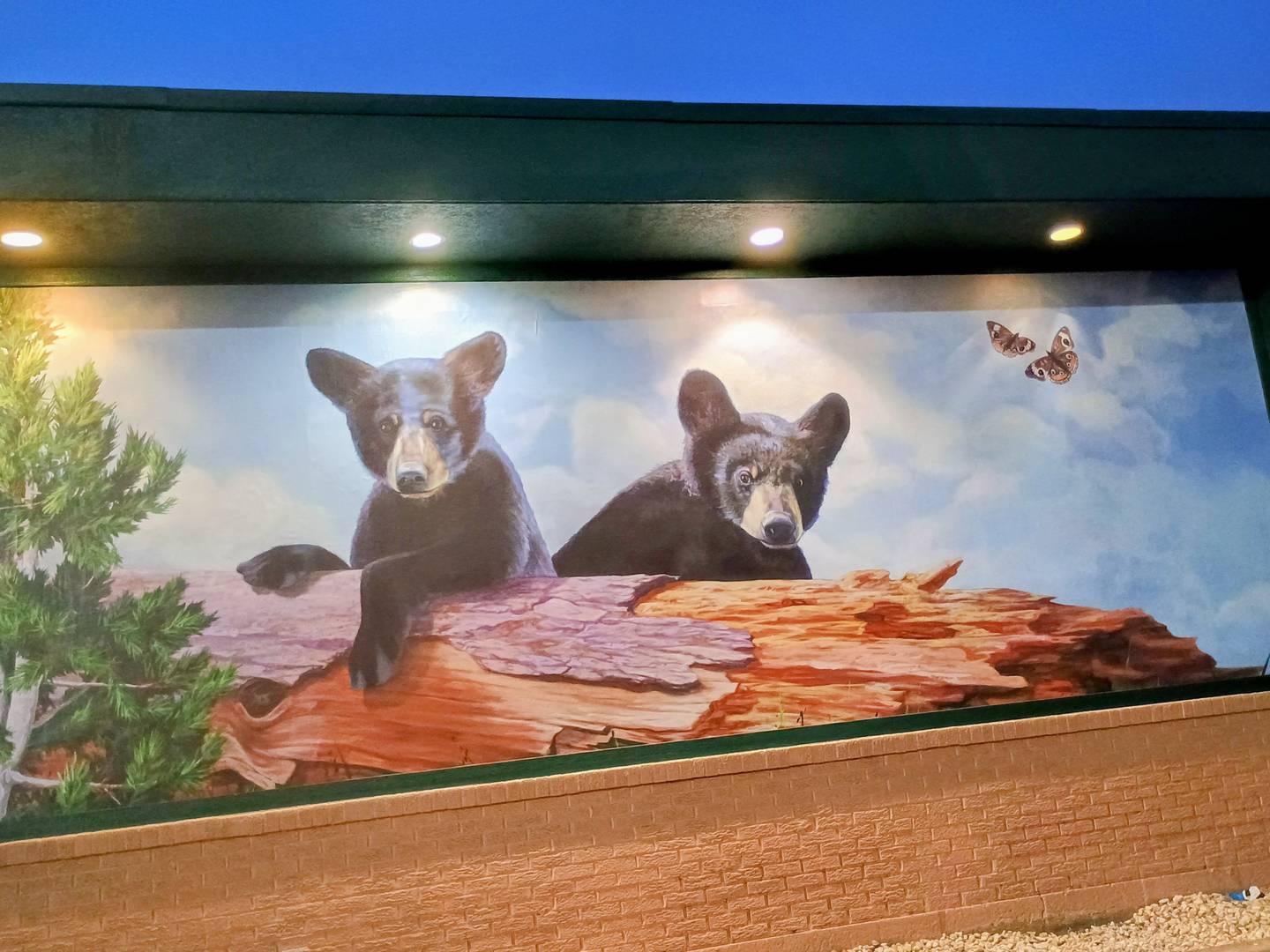 A bear mural on the facade adorns Black Bear Diner, which has opened at 21 Romines Drive in Morris at TravelCenters of America, in the former home of R-Place Family Eatery. 2025