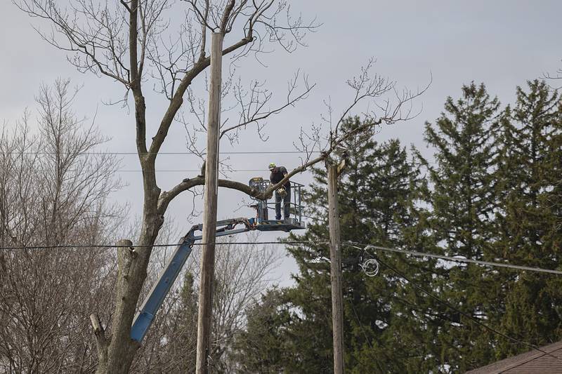 Damaged trees are trimmed in Holcomb Friday, April 3, 2026. Thursday evening storms caused a swath of damage across the area.
