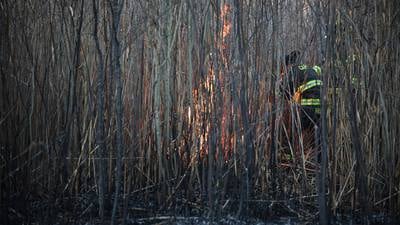 Nearly 4 acres of marshland consumed by fire Saturday near Cary