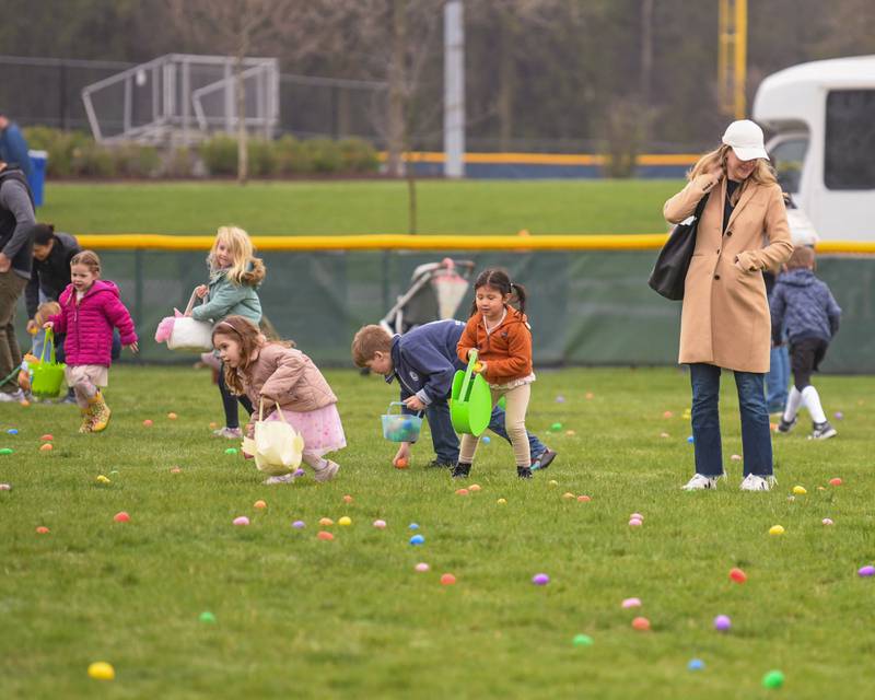 Participants collect Easter eggs after the official count down was completed during the Easter egg hunt on Saturday April 19, 2025, held at Berens Park in Elmhurst.