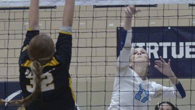 Girls volleyball: Presenting The 2024 Times All-Area Team