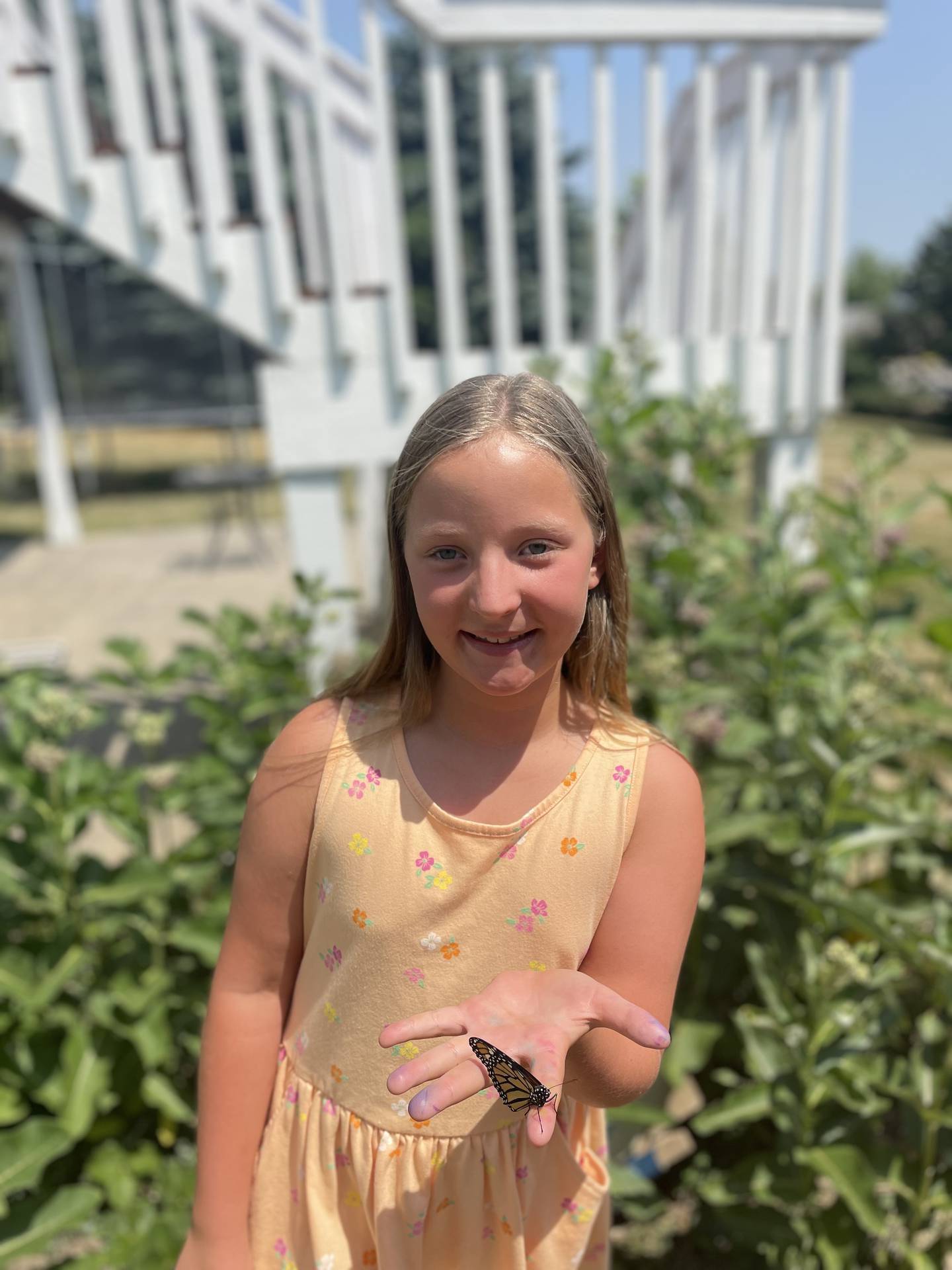 11-year-old Annakate Wagner helped raise 50 monarch butterflies with her mom, Amy Wagner, last year in Oakwood Hills.