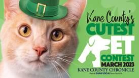 Vote now for Kane County’s Cutest Pet