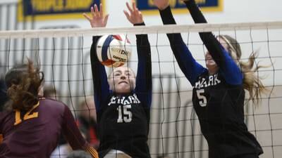 Newark volleyball falls just short in 3-set sectional semifinal loss to Stockton