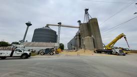 Grain bin collapses in Martinton