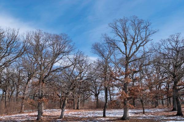 Forest Preserves Board approves 2 land acquisitions 