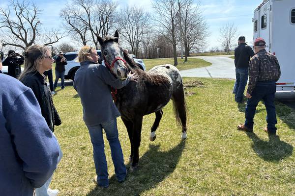 Horse saved from floodwaters by Marengo firefighters returns home