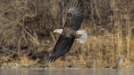 Will County resident earns award in Brookfield Zoo contest