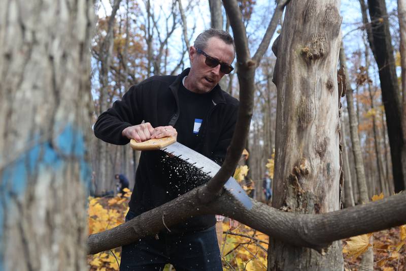 Volunteer Mike Loftus, of New Lenox, cuts up an invasive Maple tree, which prevents sunlight for Oak trees to reproduce, at the nature preservation event to restore light to the woodland floor in Pilcher Park on Sunday, Nov. 10, 2024 in Joliet.
