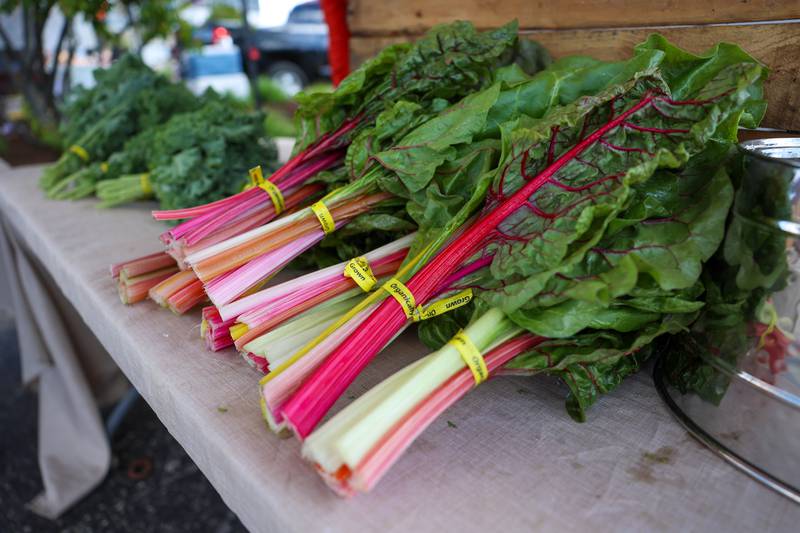Colorful Swiss chard is for sale at Watseka's Gray Farms booth at the first Kankakee Farmers' Market of the year on May 1, 2026.