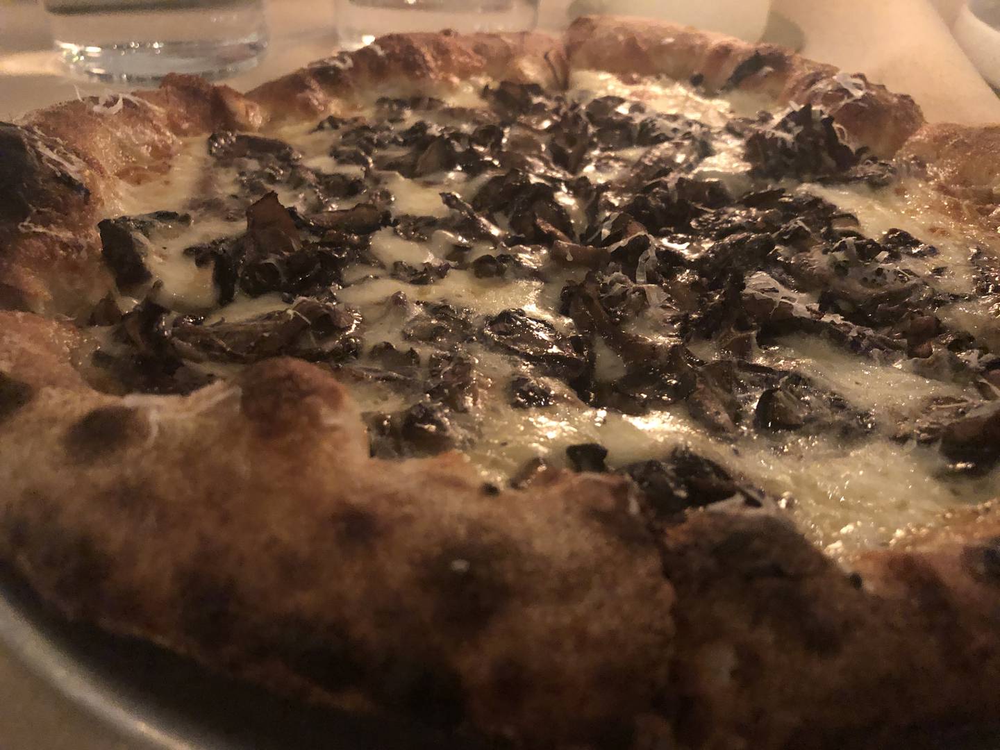 Mushroom Wood Fired Pizza at the Mockingbird Bar + Garden, East Dundee