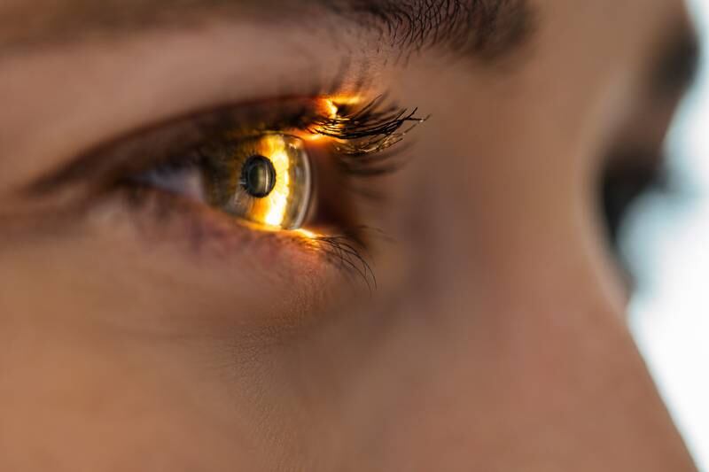 Windy City Retina - The Link Between Retinal Health and Overall Wellness