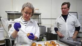 This DeKalb bakery savors tradition of Paczki Day with its popular Polish doughnuts