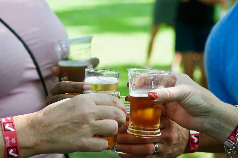 Breweries and cider houses from across Illinois were featured during the Oswegoland Park District's annual Brew at the Bridge craft beer festival Oct. 9 at Hudson Crossing Park.