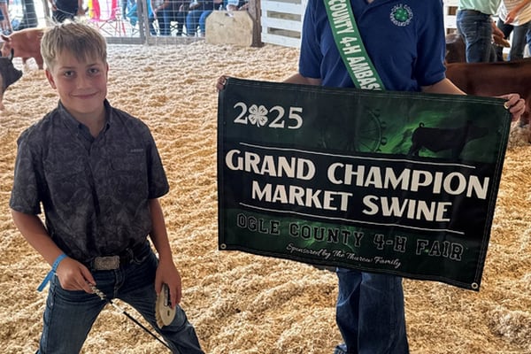 Ogle County 4-H Fair Swine Show winners named