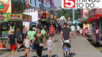 5 things to do in McHenry County: The fair, cruise nights, Cajun celebration, beers and alpacas