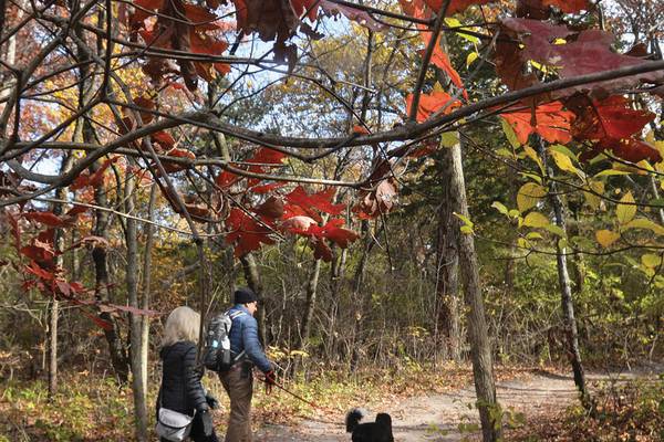 Eye On Illinois: Park gets cash infusion; sports bets down and up; remember 27 time zones?