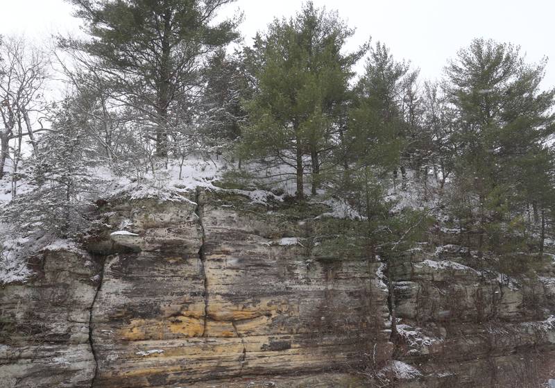 Snow sticks to the trees and sandstone on Monday, March 16, 2026 at Starved Rock State Park.