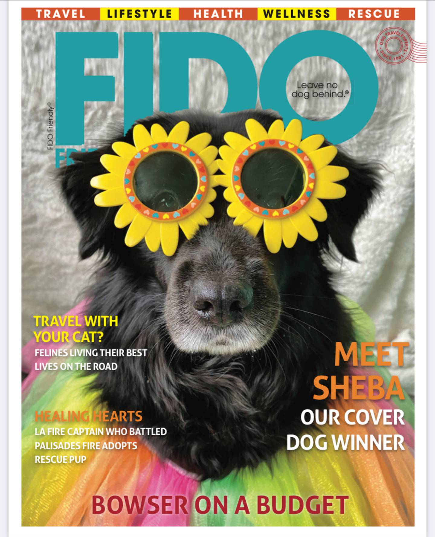 The cover of the Spring 2025 issue of FIDO Friendly magazine features Sheba, a dog who was adopted from Iroquois County Animal Rescue by Momence resident Tracy Ahrens.