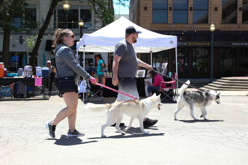 Melissa and Eric Gurley walk their huskies, Tucker (left) and Aspen, through the vendors at Paws on 66 Pet Rescue Day on Saturday in downtown Joliet.