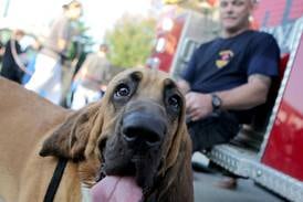 National Night Out returns to Campton Hills Aug. 5