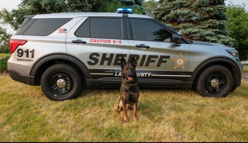 Lake County Sheriff’s Office K9 Axel will receive a bullet and stab protective vest thanks to a charitable donation from nonprofit organization Vested Interest in K9s Inc.