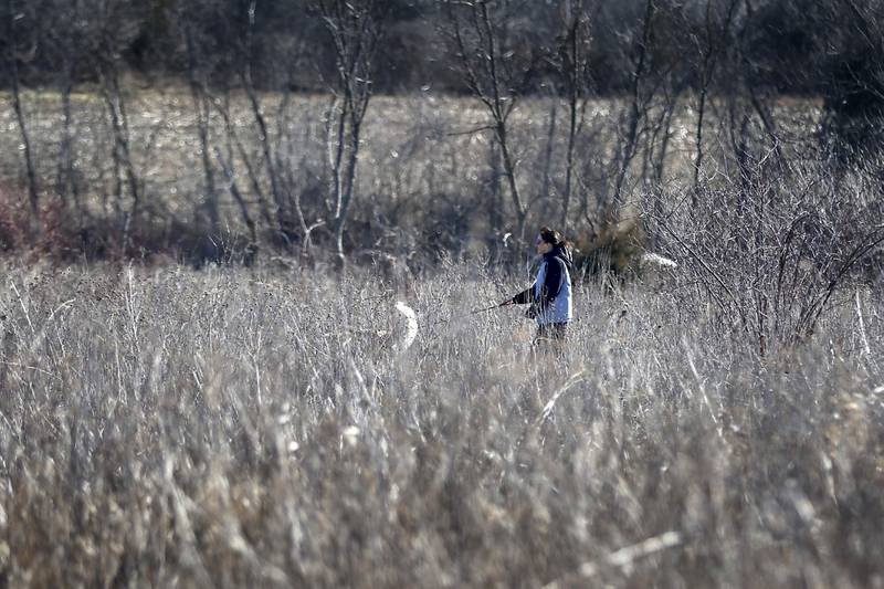 A woman walks her dog at the McHenry County Conservation District's Elizabeth Lake Nature Preserve Varga Archeological Site on Wednesday, March 6, 2024, The wetland area near Richmond along the Wisconsin Board is  composed of every stage of wetland. The area also a habitat for  29 species of native fish, 200 species of plant life, 55 species of birds, 15-20 butterfly species, and 20 state threatened and endangered species