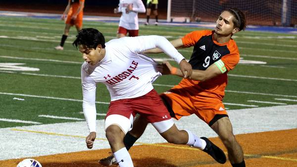 Photos: Hinsdale Central, Hersey boys soccer teams meet in Class 3A state semifinal