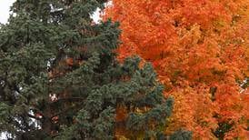 DeKalb Park District receives $13K for forestry initiatives
