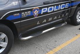 Tonica teen charged with vehicle thefts in La Salle