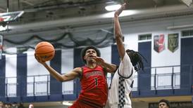 The Herald-News area boys basketball playoff preview