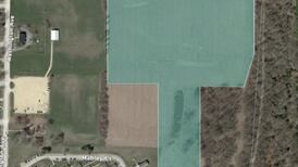 Hearings begin for Meadow Solar farm proposed in Dixon